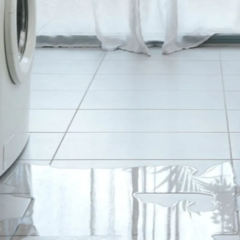 Appliance Leak Cleanup in Senoia, GA