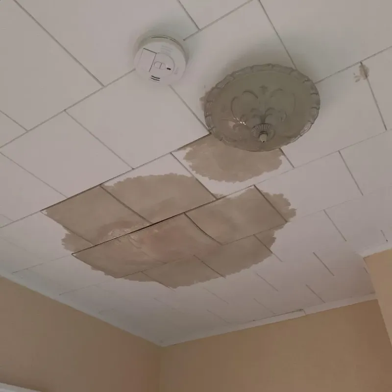 Ceiling Water Damage Repair in Senoia, GA