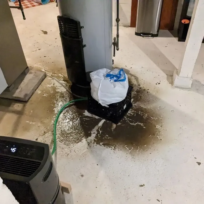 Sewage Backup Cleanup Service in Senoia, GA
